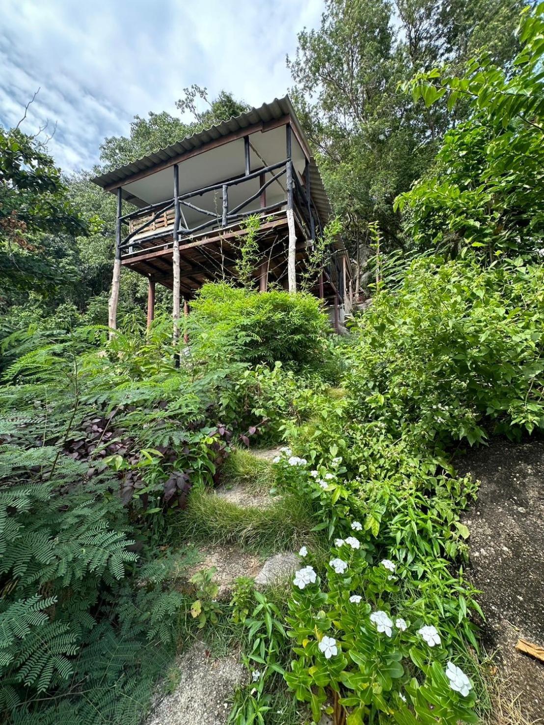 Haad Rock House Otel Haad Rin Dış mekan fotoğraf